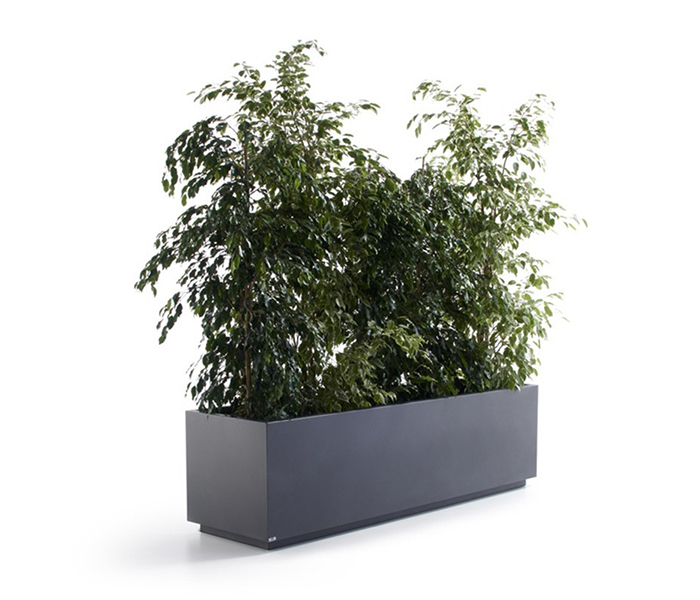 Ghiveci ornamental dreptunghiular